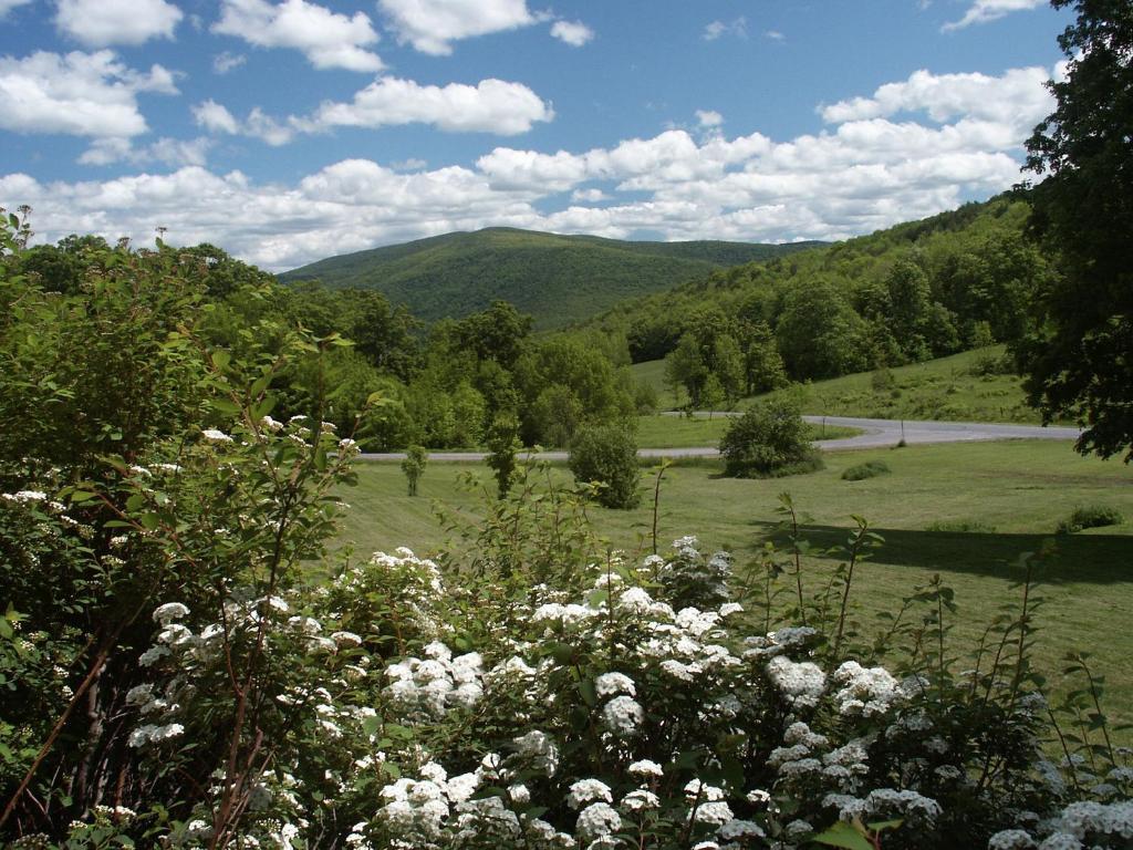 Margaretville Mountain Inn B&B Kültér fotó
